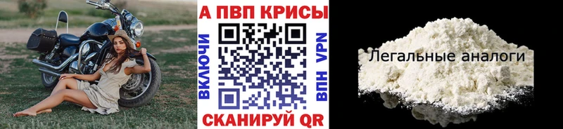Купить закладки  Губаха  A-PVP Соль 