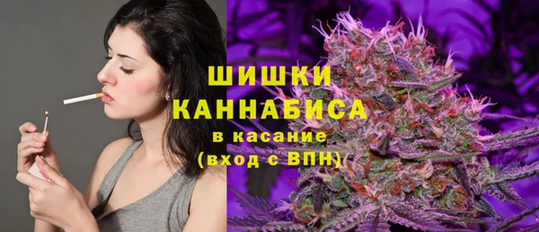 гидра Белокуриха