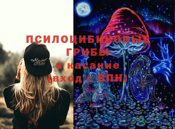 гидра Белокуриха