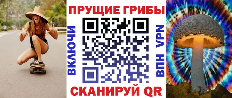 Купить  Губаха  Псилоцибиновые грибы мухоморы 